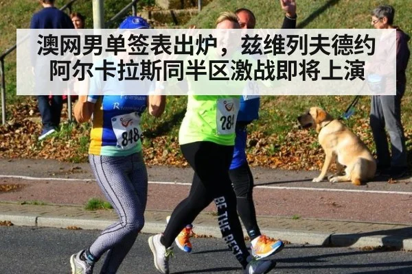澳网男单签表出炉，兹维列夫德约阿尔卡拉斯同半区激战即将上演